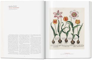 【お取り寄せ】A Garden Eden. Masterpieces of Botanical Illustration